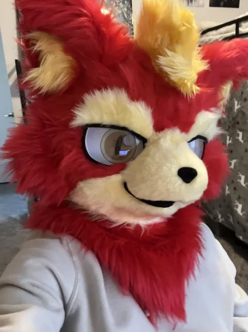 anonymous|full fursuit|Custom Commission Showcase|aurorafur