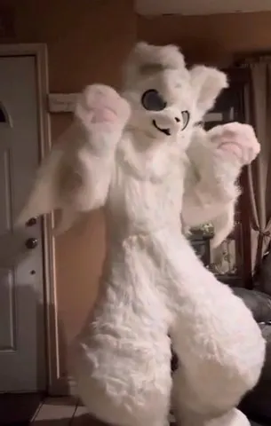 Clarity|full fursuit|Custom Commission Showcase|aurorafur