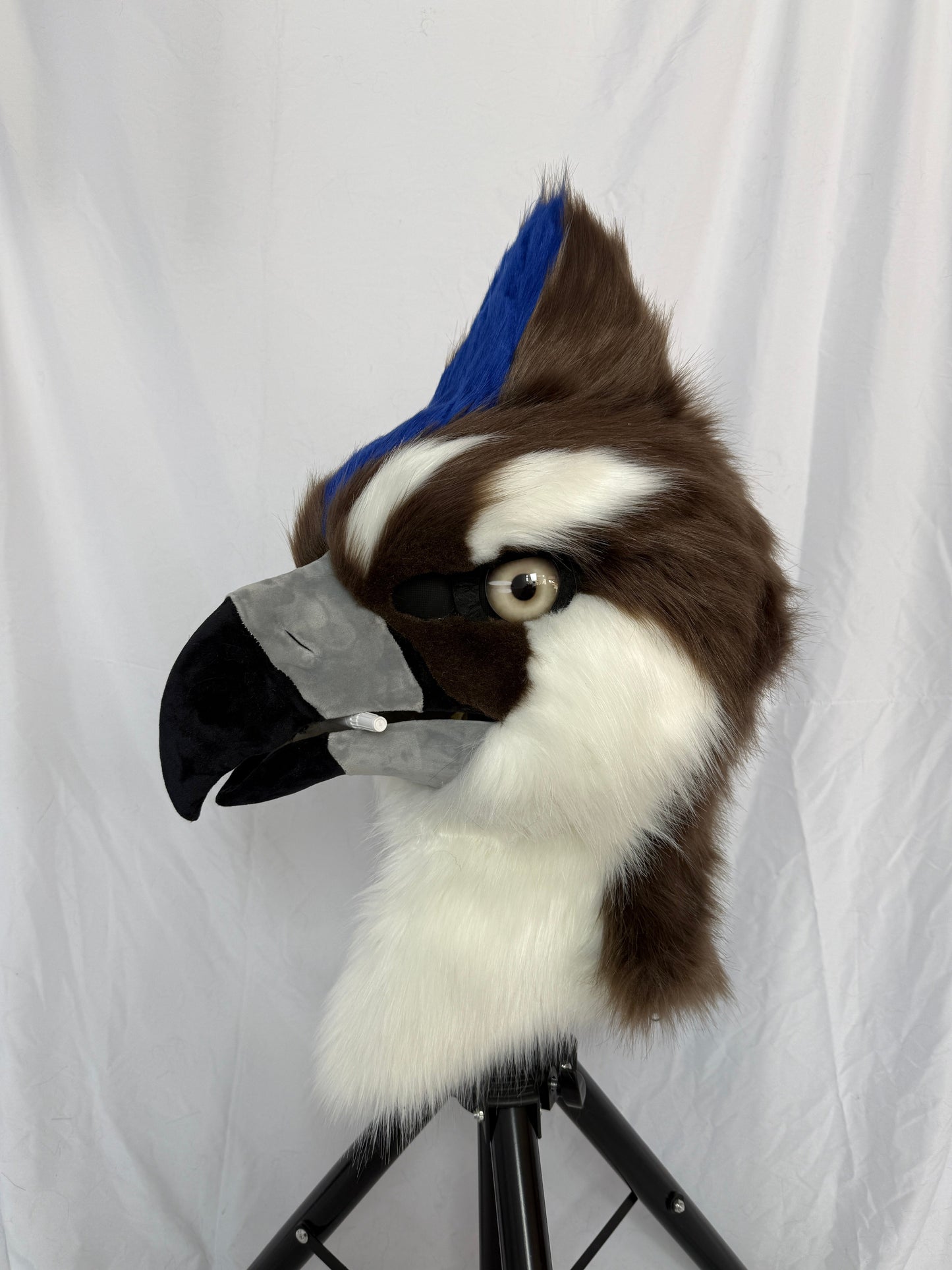 Plus Set  Full Fursuit Package