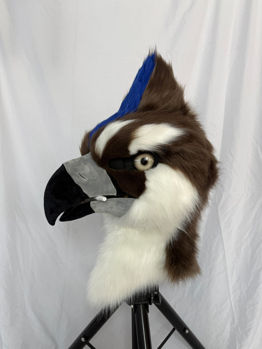 Plus Set  Full Fursuit Package
